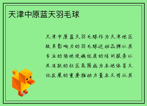 天津中原蓝天羽毛球