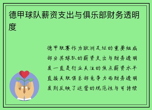 德甲球队薪资支出与俱乐部财务透明度