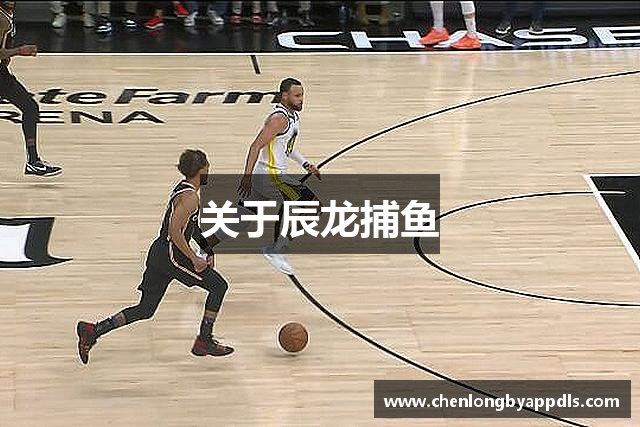 关于辰龙捕鱼